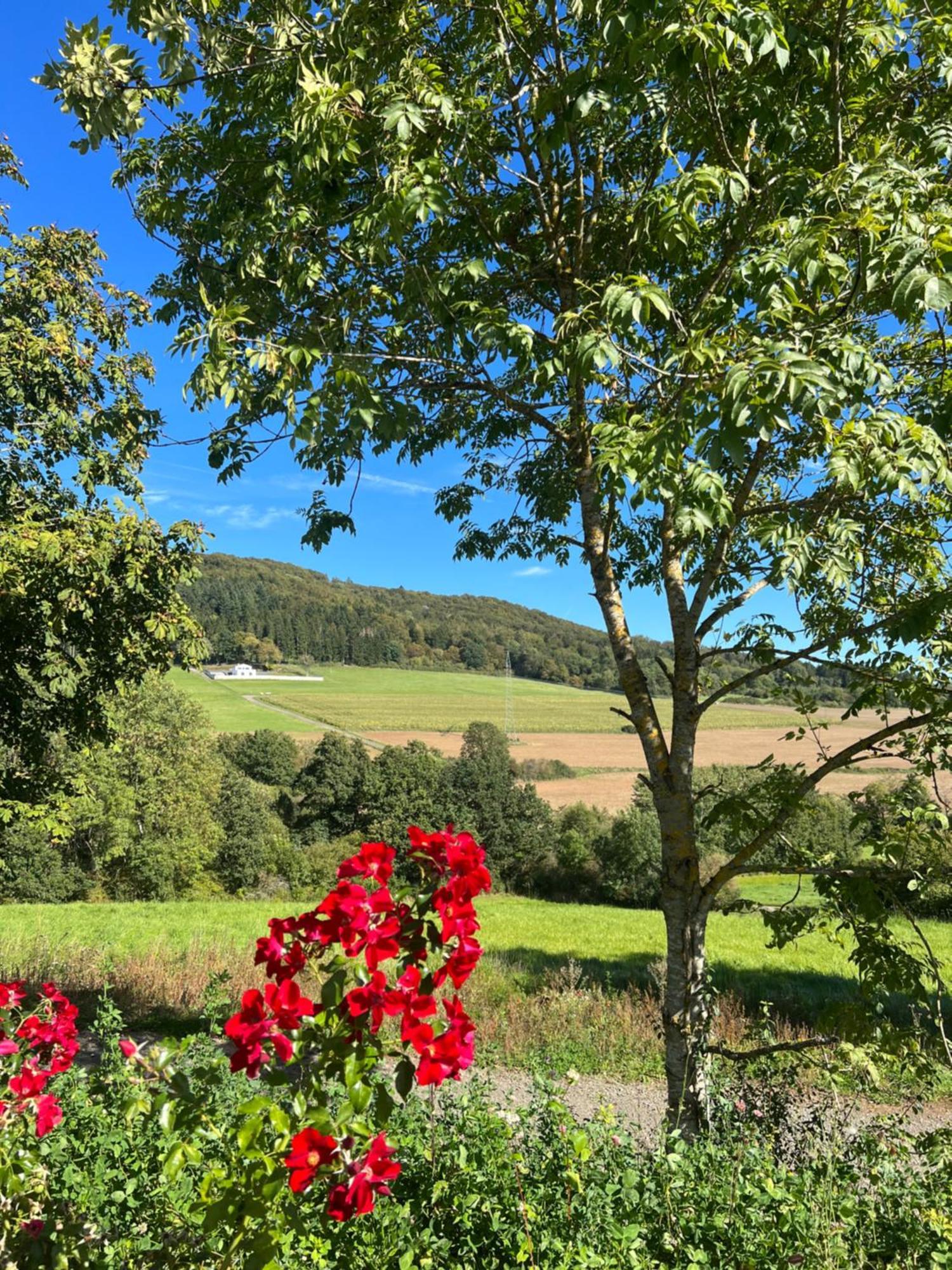 Netten Naturerlebnis Holz-Chalets Daun Buitenkant foto